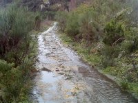 17-02-07_1704.jpg