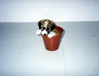 Untitled-1.jpg