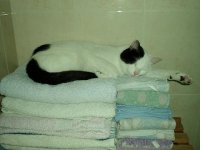que bela cama!.JPG