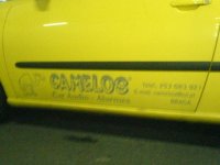 cupra_camelo.JPG