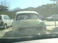 sapo2.JPG