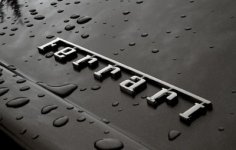 ferrari-rain-small.jpg