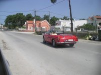 IMGP4989.jpg