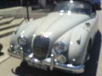 DSC04321.JPG
