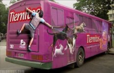 Imagem10.jpg