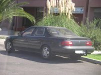 IMGP5174.jpg