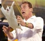 Arnold.jpg
