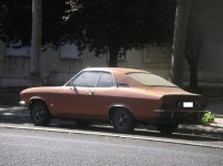 IMGP5573.jpg