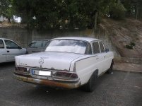 IMGP0127.jpg