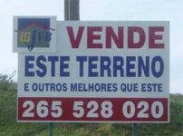 2937-pgmonkeyvendoterreno.jpg