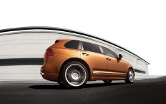 cayenne1.jpg