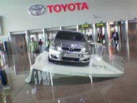 auris.jpg auris.jpg