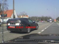 mule_1.jpg