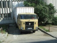 IMG_139.jpg