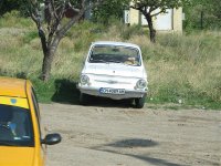 IMG_137.jpg
