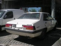 IMGP0026.jpg