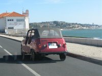 IMG_5386.jpg