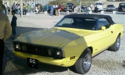 mustang1.jpg