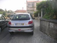 IMGP0311.jpg