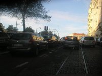 IMGP0400.jpg