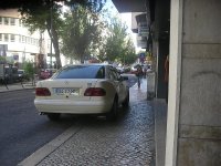 IMGP0463.jpg