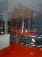 Img_1079s.jpg