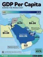 GDP-per-Capita-Across-the-Middle-East_website_Dec10.jpg