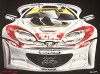 Peugeot's 206 Race car.jpg