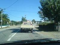 DSC05077.JPG