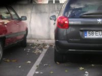 IMGP0727.jpg
