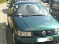 polo1.JPG