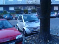 DSC05882.JPG