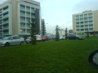 DSC05975.JPG