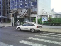 mais fotos 010.jpg
