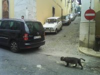 mais fotos 001.jpg