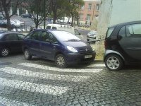 mais fotos 006.jpg