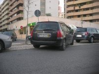 IMGP1141.jpg