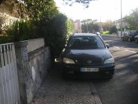 IMGP1219.jpg