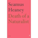 seamus.jpg