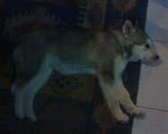 02022008060.jpg