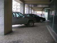 IMGP2145.jpg