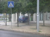 IMGP2198.jpg