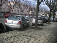 IMGP2340.jpg