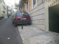 IMGP2619.jpg