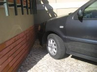 IMGP2728.jpg