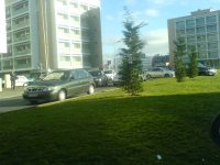 DSC06836.JPG