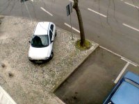 Img021.jpg