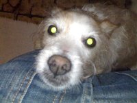 28022008388.jpg