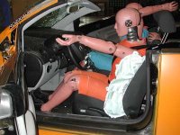 beetle_det.jpg