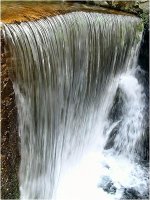 DSCF0136.jpg
